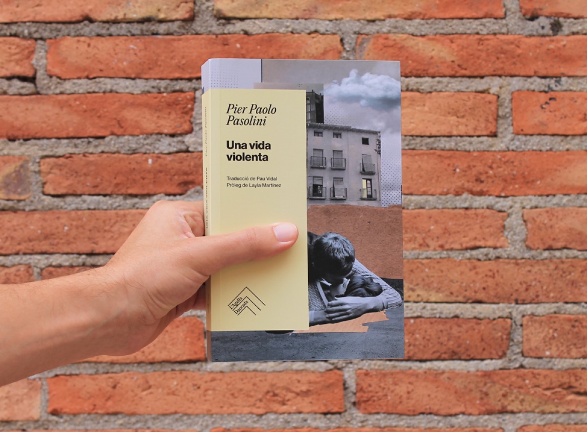 'Una vida violenta' de Pier Paolo Pasolini, juntament amb Travessa del manglar de Maryse Condé, són els dos primers títols de l’editorial que neix del paraigües de la cooperativa Kult i del bagatge de Tigre de Paper. 