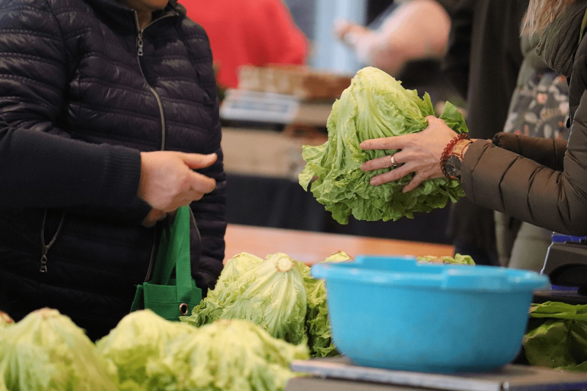 Imatge del mercat Elikagunea, a Azpeitia.