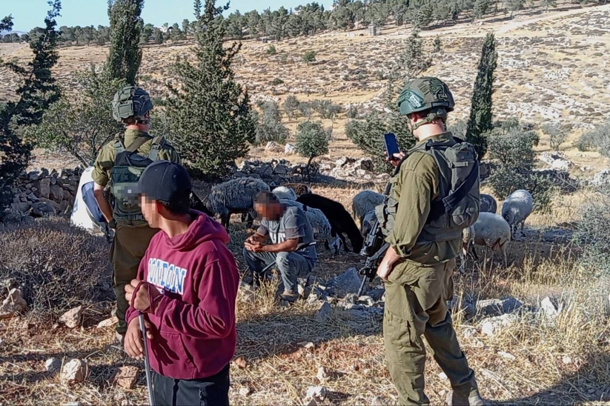 Els pastors palestins a qui acompanyava Masmi amb els soldats israelians, poc abans de la detenció