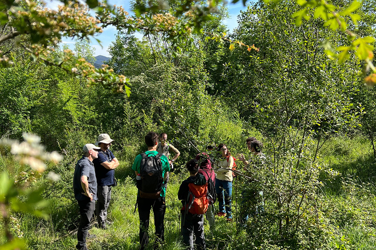 Prop del 80% de les entitats ambientals fan ús del voluntariat com a eina clau per desenvolupar les seves activitats