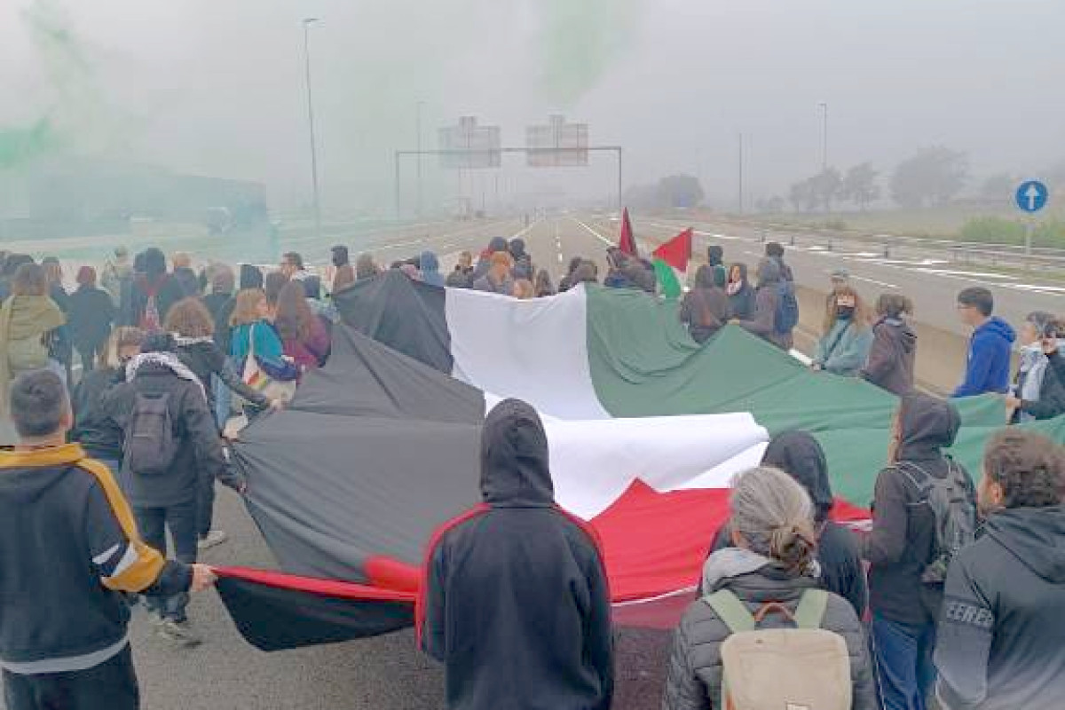 Imatge il·lustrativa