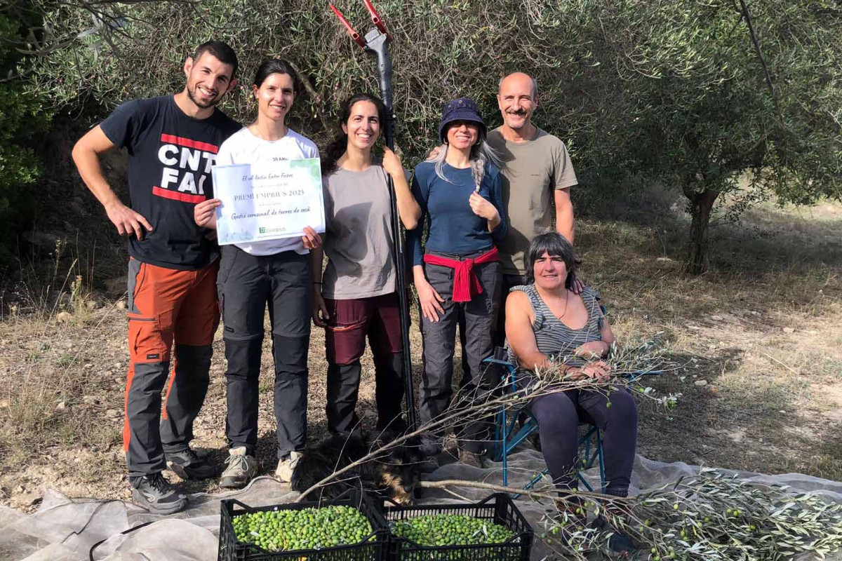 Imatge il·lustrativa