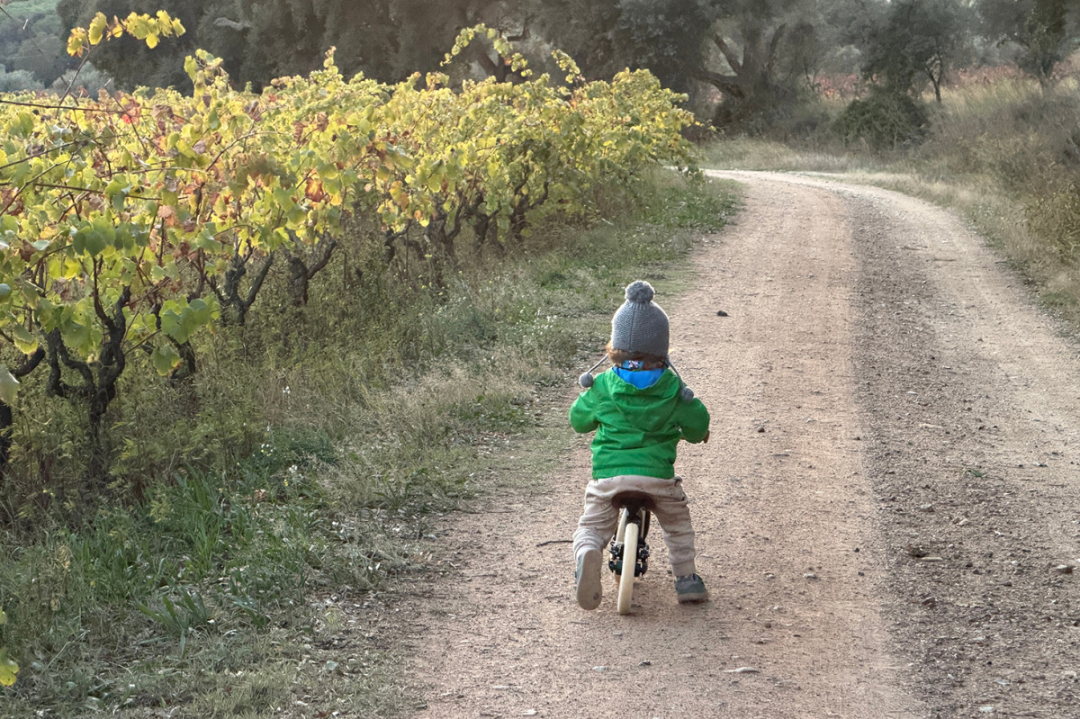 La trobada aplegarà diferents projectes que treballen pel desenvolupament rural de pobles i comarques de Catalunya